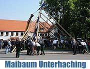 neuer Maibaum 2009 in Unterhaching (Foto: Ingrid Grossmann)